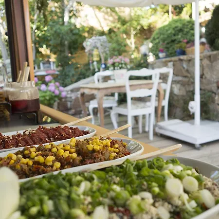 ホテル Kalais ボズカーダ