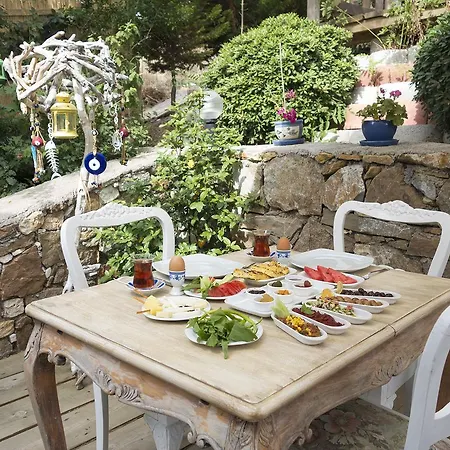 Kalais ボズカーダ